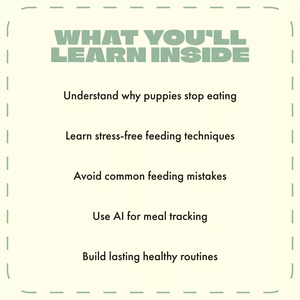 When Your Puppy Refuses to Eat | Puppy Feeding Guide, Appetite Loss Help, Digital Download, eBook for Dog Owners, AI Puppy Feeding Plan Tips