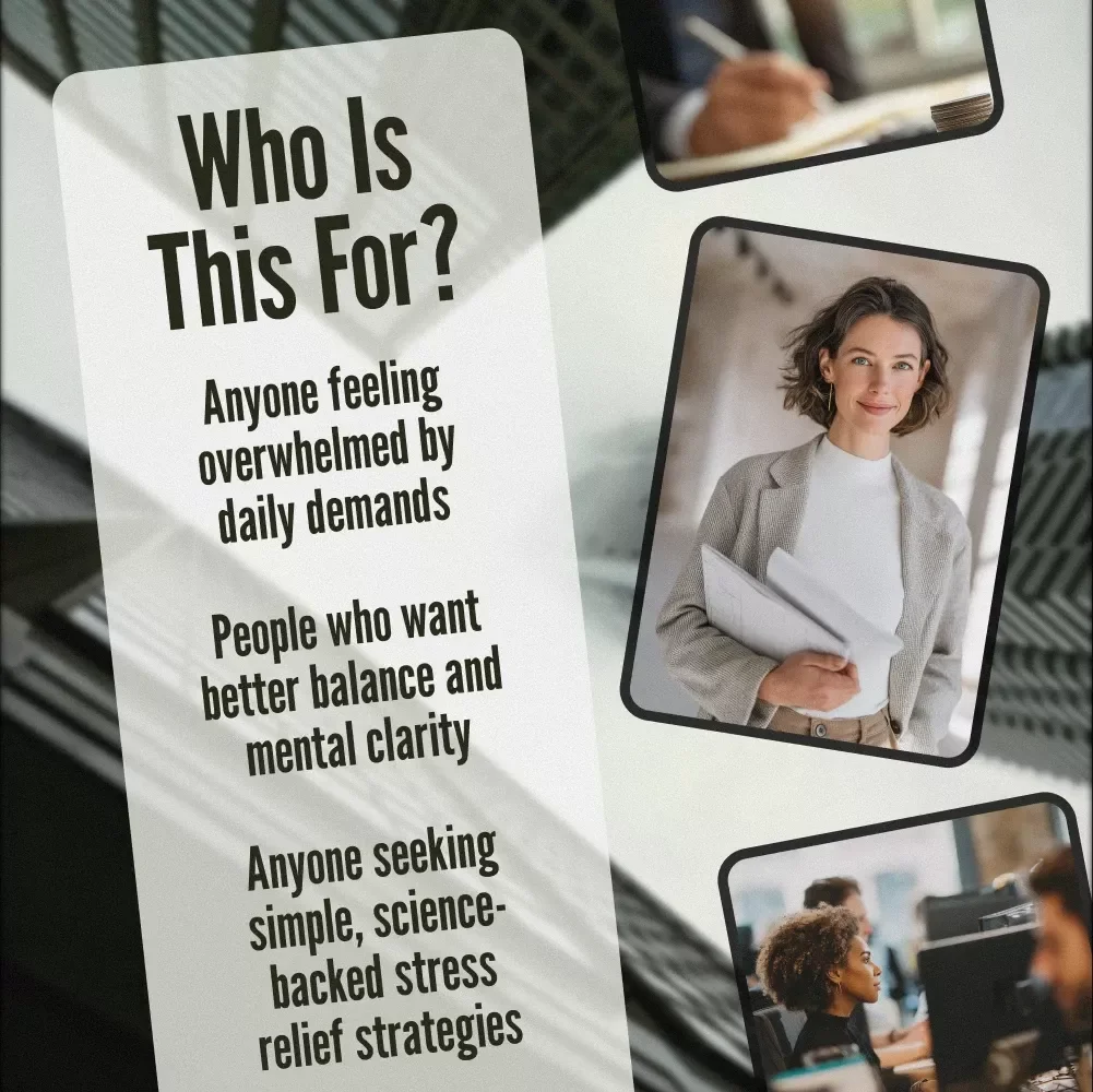 Calm in Chaos: Your Essential Guide to Stress Reduction and Lasting Peace | Digital eBook for Stress Relief, Mindfulness, and Inner Calm