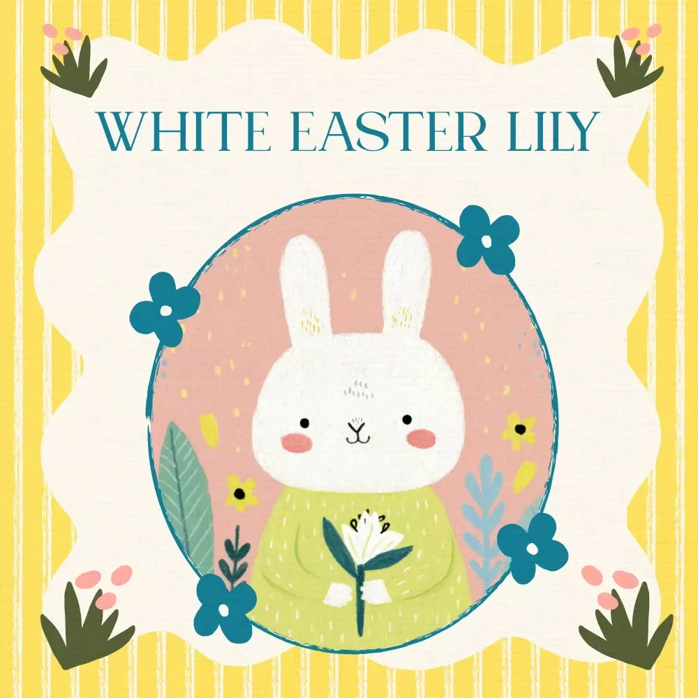 White Easter Lily Checklist – Meaning of the White Easter Lily Guide, Christian Easter Symbolism Printable, Resurrection & Renewal Reflection Digital Download — video