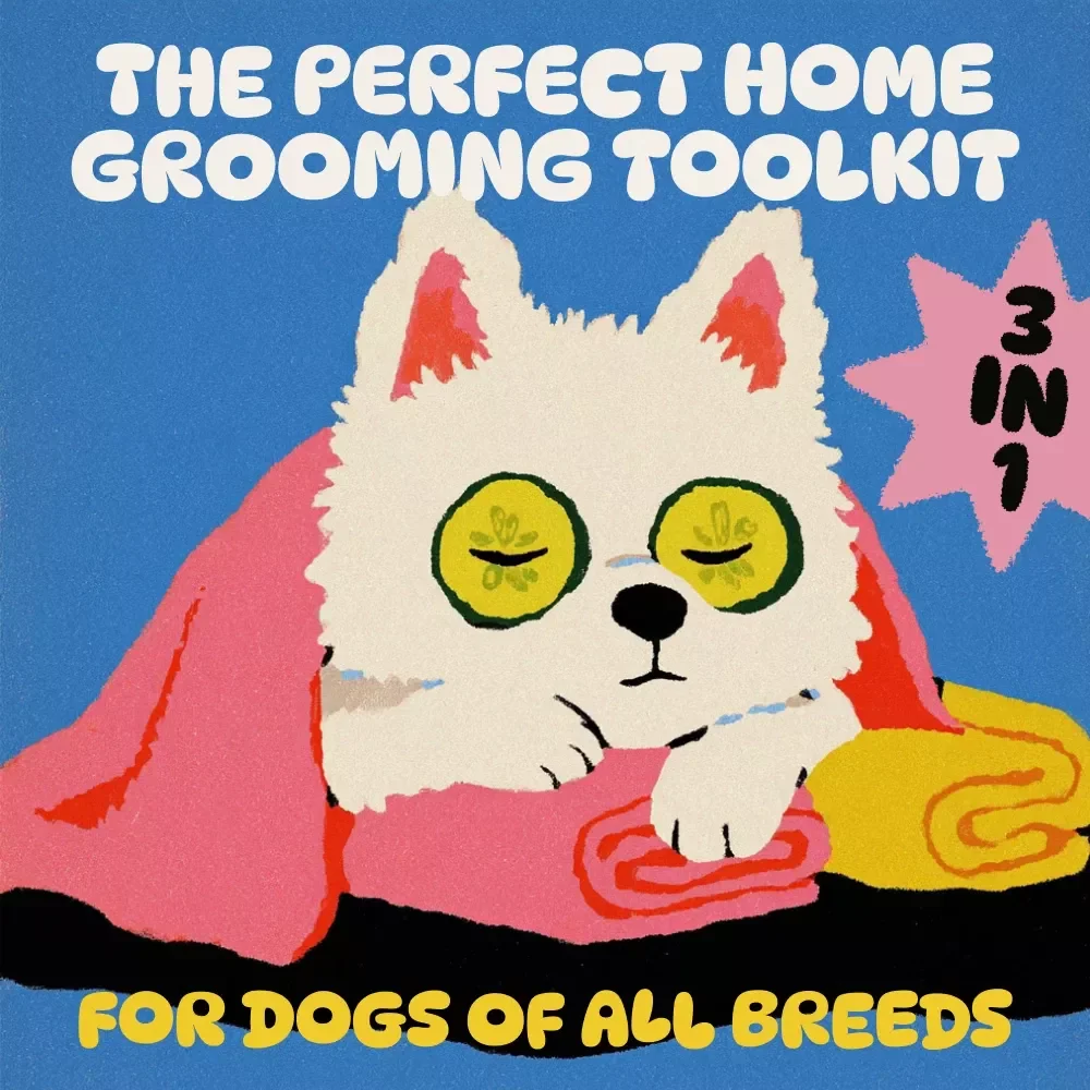The Perfect Home Grooming Toolkit for Dogs of All Breeds: Guide, eBook & Checklist — video