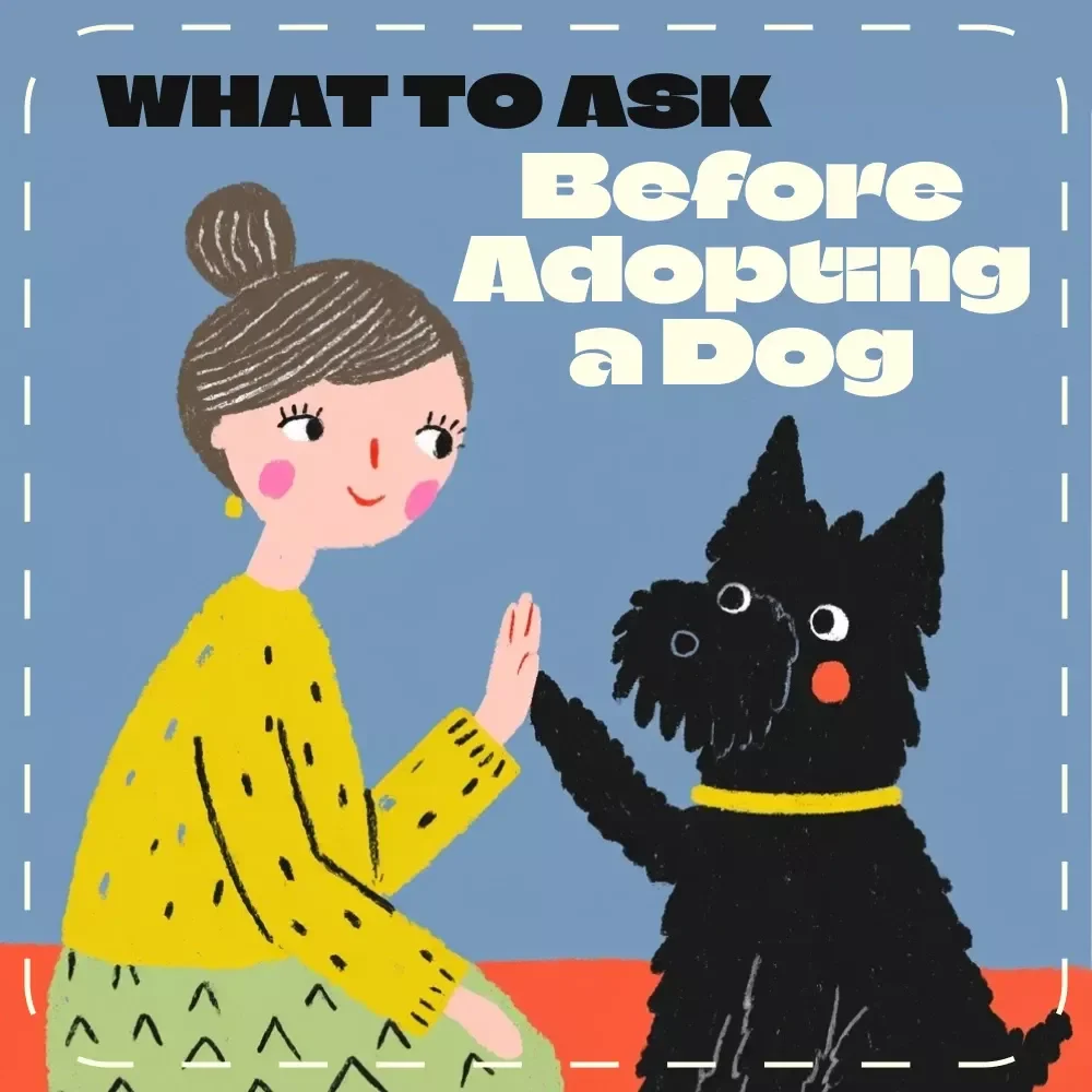 Smart Starts: What to Ask Before Adopting a Dog | Essential Pet Adoption Guide, Digital Download for New Dog Owners, Puppy Preparation eBook, AI Tips for Responsible Pet Parents — video