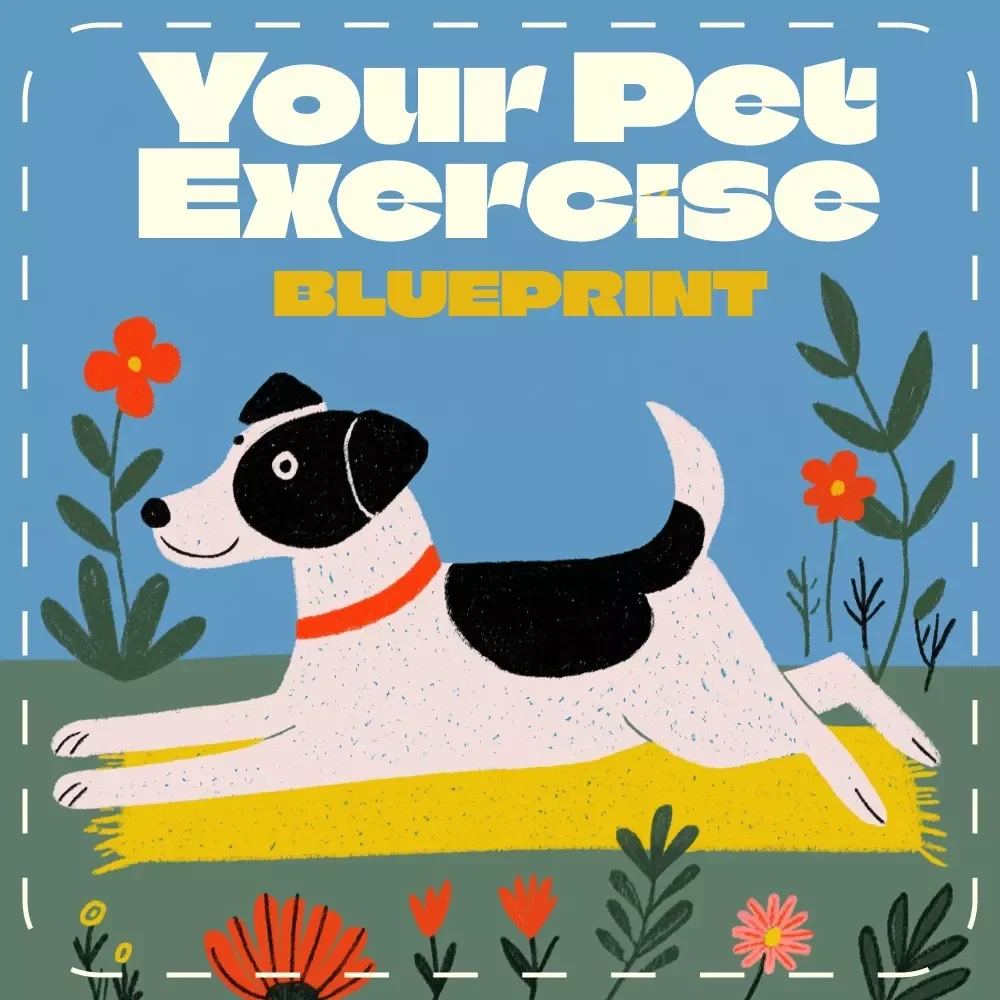 Your Pet Exercise Blueprint | Digital Pet Fitness Guide for Dogs, Cats & Small Pets | AI-Powered Pet Routine Planner eBook | Pet Wellness & Training Checklist Download — video