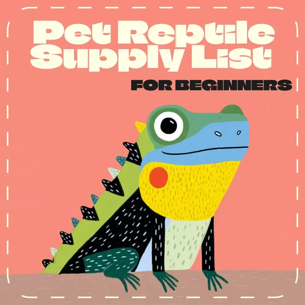 Pet Reptile Supply List for Beginners | Printable Reptile Care Checklist | Essential Reptile Starter Guide | Digital Download for New Reptile Owners (Gecko, Turtle, Bearded Dragon) — video