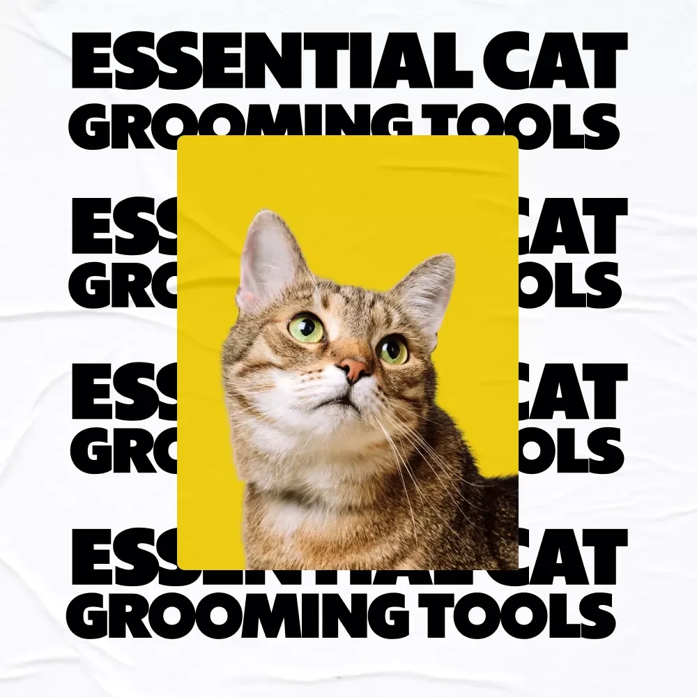 Essential Cat Home Grooming Tools | Digital Download Guide, Cat Grooming eBook & Checklist for Home Grooming, Cat Grooming Tools and Tips